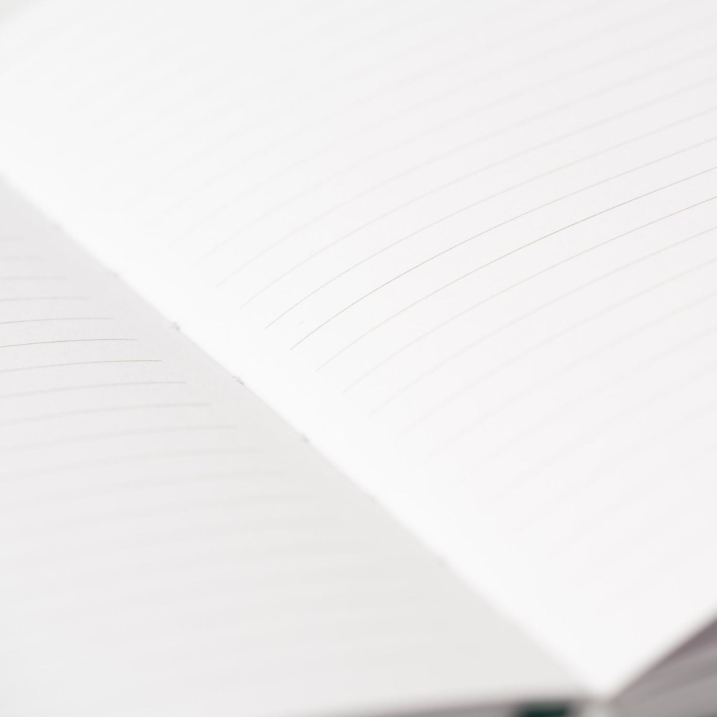 Lined Journal - A5 - Hummingbird