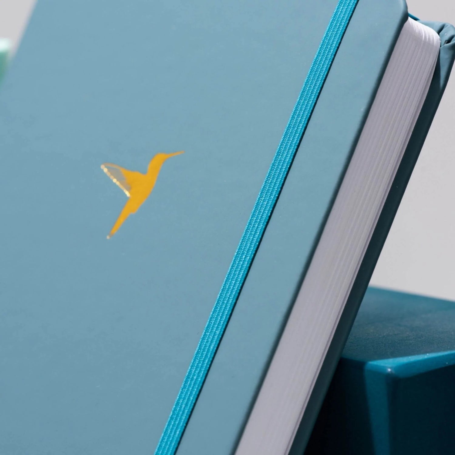 Image of deep ocean coloured journal with gold hummingbird on the cover